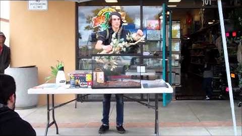 Arboreal Snake Workshop