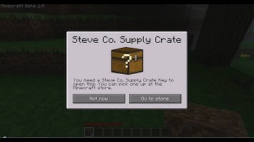 Minecraft Beta 1.4 Secret!