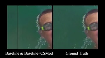 Recaptured Raw Screen Image and Video Demoiréing via Channel and Spatial Modulations