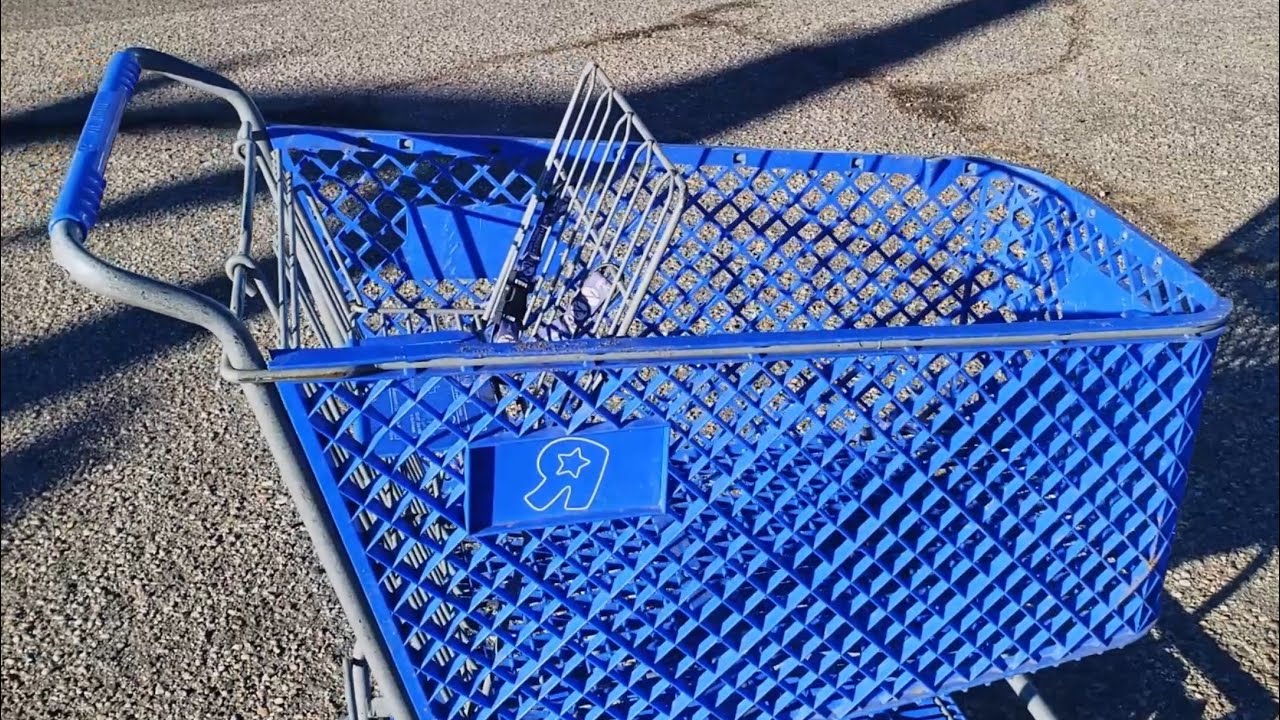 MEMBER EXCLUSIVE - Toys R Us Shopping Cart... in CHEYENNE? - YouTube
