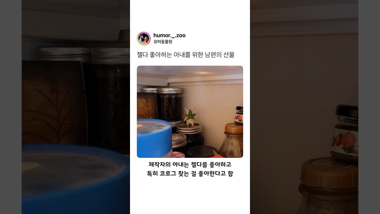 젤다 좋아하는 아내를 위한 남편의 선물