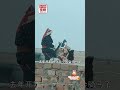 太拉风 内蒙古牧民和8岁女儿骑马去拜年 走一天来回30公里 太拉风 内蒙古牧民和8岁女儿骑马去拜年 走一天来回30公里