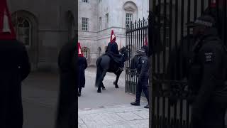 Kings guard horse #king #guard #horse #london #india #ytshots @vichethediamonds #