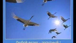 видео 10 шагов для достижения идеальной кожи