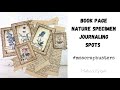 MAKING NATURE SPECIMEN JOURNALING CARDS | #msscrapbusters CHALLENGE | SCRAP BUSTERS | EPISODE 7