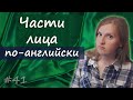 41 Face vocabulary   лексика, внешность   черты лица, глаза, нос, рот и т д