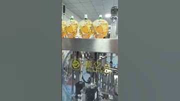 Máy chiết rót túi 2 đầu #apm #shorts