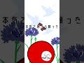 【転生林檎】ポーランドボールver.