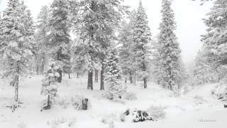 Winter wonderland in 4K resolution. screenshot 4