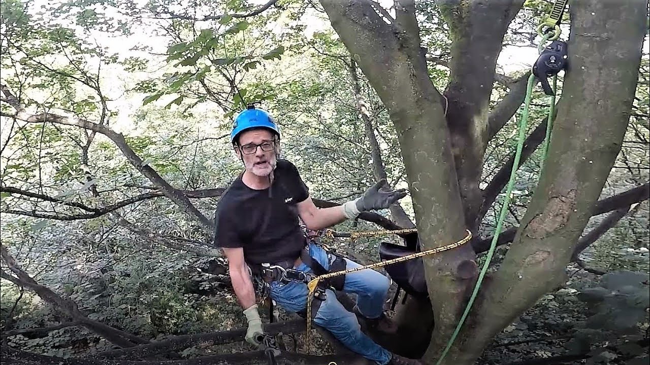 Tree Climbing High in the Canopy using Lanyards 