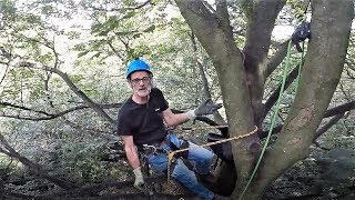 Tree Climbing High in the Canopy using Lanyards