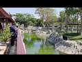 Explore Dubai Safari Park: The howling Siamang &amp; day&#39;s tour picture clips