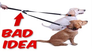 How to Walk Multiple Dogs at the SAME TIME?