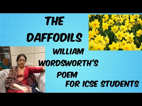 THE DAFFODILS,A POEM BY THE NATURE POET WILLIAM WORDSWORTH .WATCH THIS VIDEO TO UNDERSTAND IT