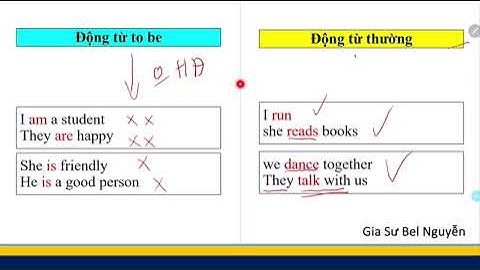Giữa động từ tobe và động từ chính là gì năm 2024