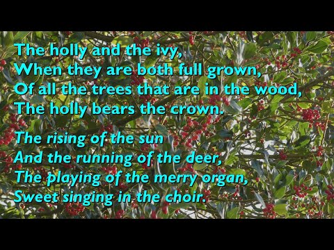 The Holly and