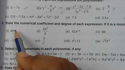 Algebraic expression: Class 7 Exercise 11A