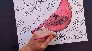 Easy How To Draw A Cardinal- Elementary Art- Time Lapse