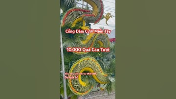 Cổng đám cưới miền tây #damcuoimientay #damcuoimietvuon