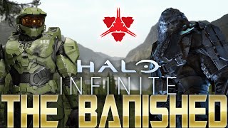 Why the Banished are the Perfect Replacement for the Covenant in Halo Infinite (343's Best Idea Yet)