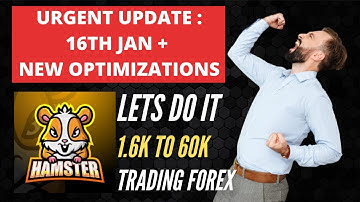 Hamster Scalping Forex Trading : Urgent Update before Weekend Market Opening and New Optimizations