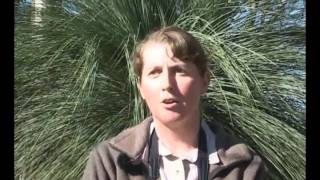 Planet Earth Keeping Roadsides Secrets Safe Part 1