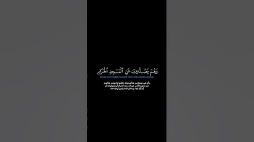 سورة الأنفال الآية 33-35 الشيخ الدوسري #quran #guidance #الدوسري #اللحيدان #اكسبلور #لايك #قرآن