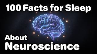 The Most Relaxing Facts About Neuroscience to Fall Asleep To screenshot 4