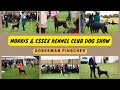 Morris & Essex Kennel Club Dog Show| DOBERMAN PINSCHER