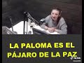 El chiste del pájaro y la paz