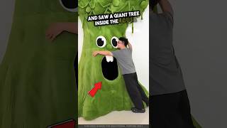 This Boy Found a Secret Room Inside a Tree and Couldn’t Believe It!