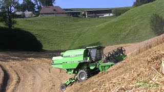 Dreschen am Abgrund 🌾 Cabview Spezialdrescher Deutz-Fahr M35.75 | so wird das gemacht 🦌 🇨🇭