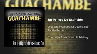 Vignette de la vidéo "En peligro de extinción (Audio oficial) / Orquesta Internacional Guachambe"
