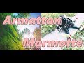 Early Summer in Korea / Armattan Marmotte / 레이싱드론 프리스타일 / Russell FPV FreeStyLe