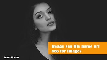 Image seo file name url   seo for images on how to use alt text, image title, and file name