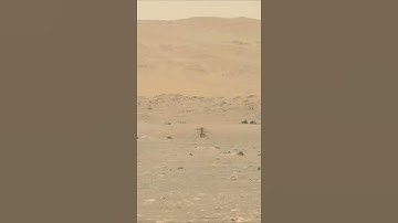 Mars Helicopter | Ingenuity Video. #shorts