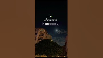 #قال رب إشرح لي صدري ويسر لي أمري #قرآن #اللهم_صل_وسلم_على_نبينا_محمد #تلاوة_خاشعة #اكسبلور #المصحف