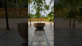 Biohacking with 1111 Hz Sound Bowl Immersion