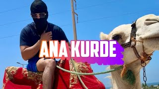 Real T- Ana Kurde Freestyle (Official Music video)