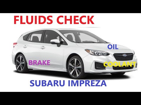Fluids Check on 17 20 Subaru Impreza 2017 2018 2019 2020 2021 Oil Brake coolant
