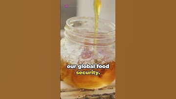 Buzzing for Biodiversity: The Essential Role of Bees