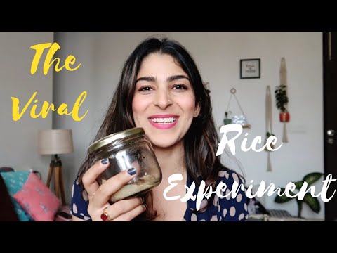 The Viral Love Hate Rice Experiment | Mascara and Muscles | Shruti ...