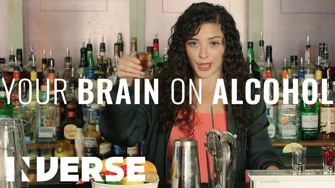 humor me meaning Your Brain on Alcohol | Inverse