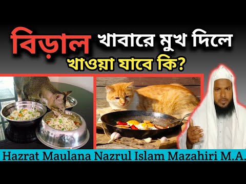 ভিডিও: হলুদ কি বিড়ালদের জন্য বিষাক্ত?