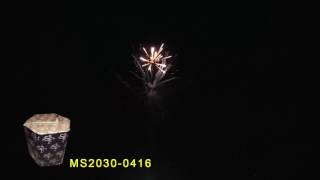 MS2030 0416