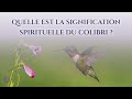  quelle est la signification spirituelle du colibri 