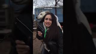 Нападение собаки на красивую девушку ❤️❤️❤️