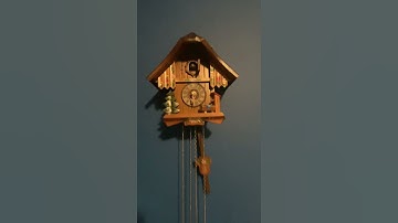 The Non-Stopping Cuckoo Clock! #shorts
