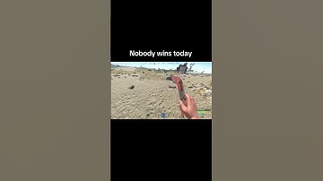 We both go down fighting #rust. #pcgaming #pc #rustpvp #rustclips #gamer #shorts #fypシ