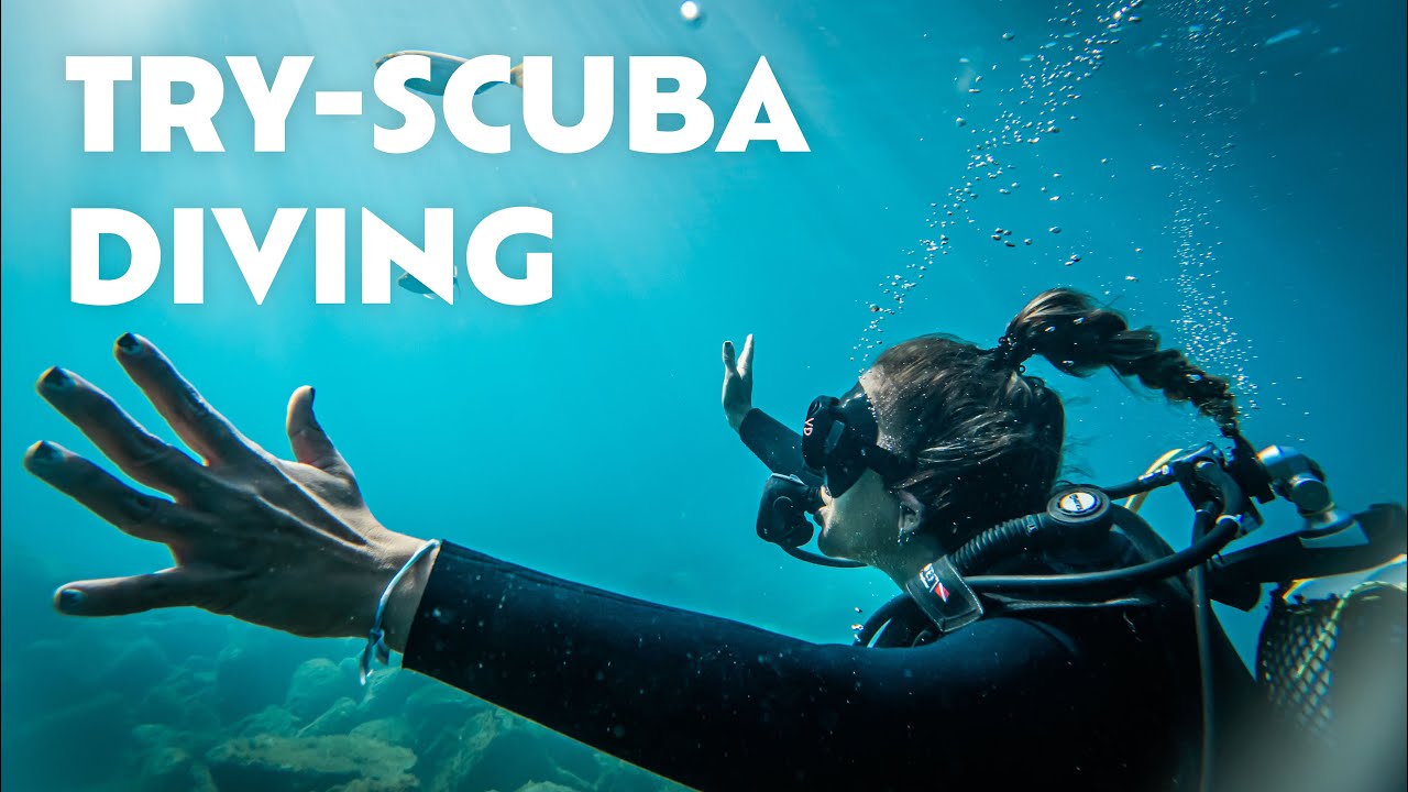 TRY SCUBA DIVING Admiral Excursions Tenerife YouTube